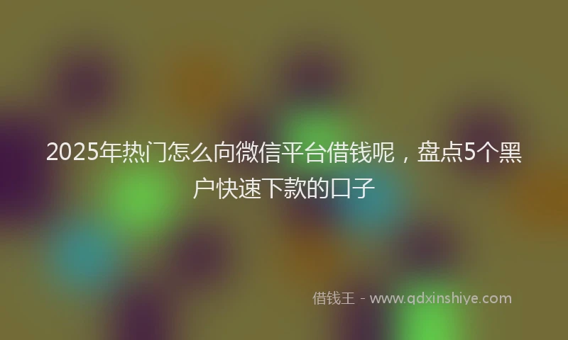 2025年热门怎么向微信平台借钱呢，盘点5个黑户快速下款的口子