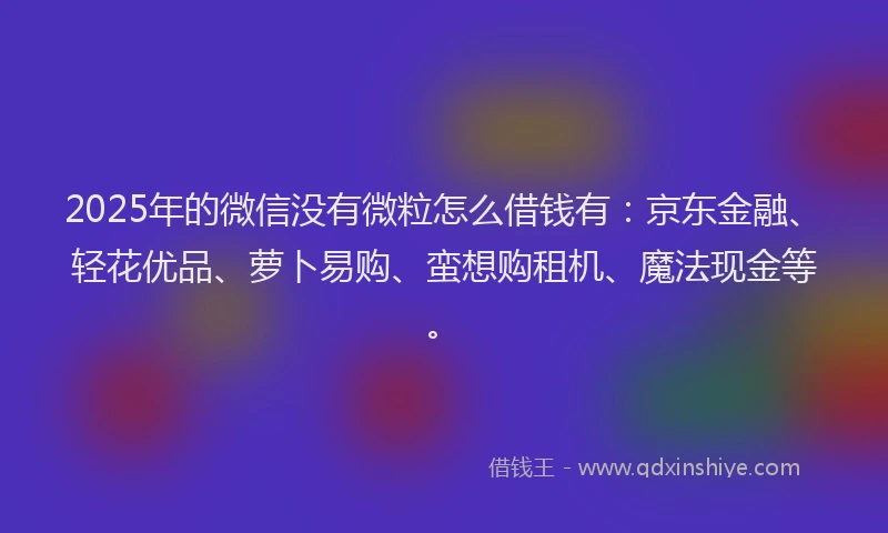 2025年的微信没有微粒怎么借钱有：京东金融、轻花优品、萝卜易购、蛮想购租机、魔法现金等。