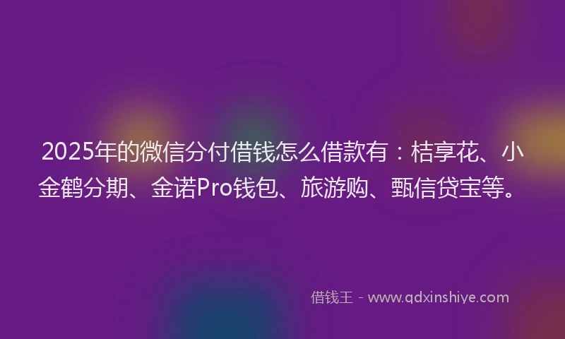 2025年的微信分付借钱怎么借款有：桔享花、小金鹤分期、金诺Pro钱包、旅游购、甄信贷宝等。