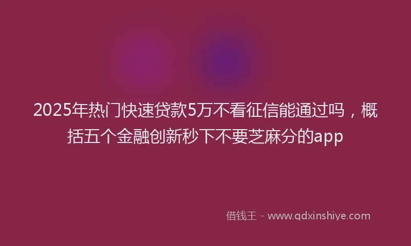 2025年热门快速贷款5万不看征信能通过吗，概括五个金融创新秒下不要芝麻分的app
