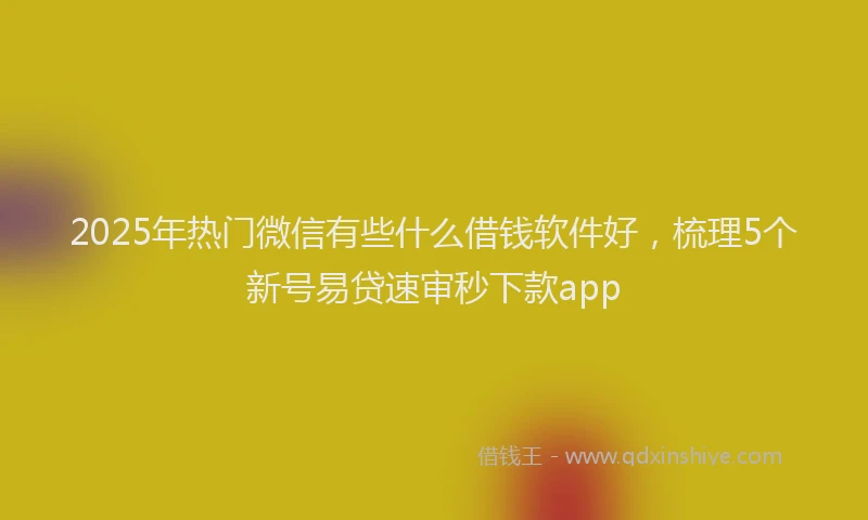 2025年热门微信有些什么借钱软件好，梳理5个新号易贷速审秒下款app