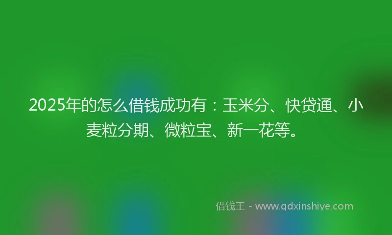 2025年的怎么借钱成功有：玉米分、快贷通、小麦粒分期、微粒宝、新一花等。