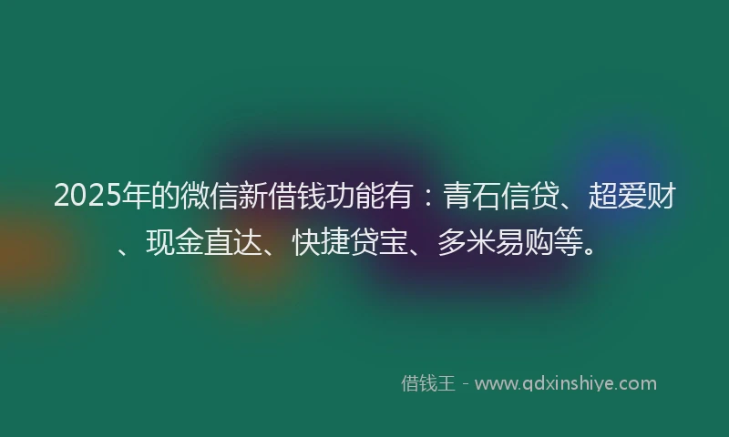 2025年的微信新借钱功能有：青石信贷、超爱财、现金直达、快捷贷宝、多米易购等。