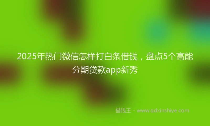 2025年热门微信怎样打白条借钱，盘点5个高能分期贷款app新秀