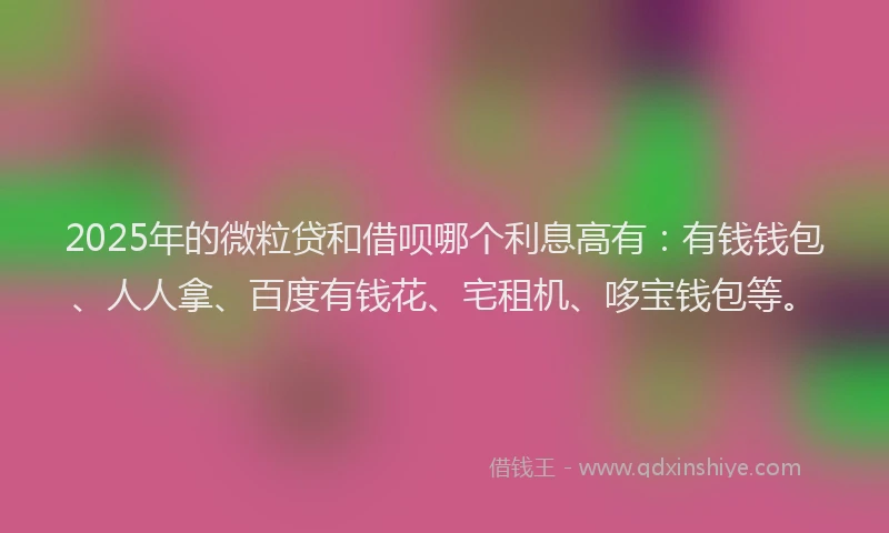 2025年的微粒贷和借呗哪个利息高有:有钱钱包、人人拿、百度有钱花、宅租机、哆宝钱包等。