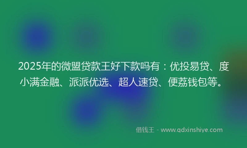 2025年的微盟贷款王好下款吗有：优投易贷、度小满金融、派派优选、超人速贷、便荔钱包等。
