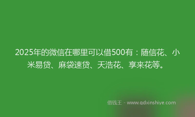 2025年的微信在哪里可以借500有：随信花、小米易贷、麻袋速贷、天浩花、享来花等。