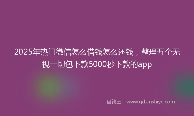 2025年热门微信怎么借钱怎么还钱，整理五个无视一切包下款5000秒下款的app