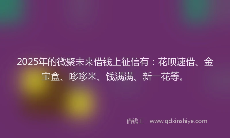 2025年的微聚未来借钱上征信有：花呗速借、金宝盒、哆哆米、钱满满、新一花等。