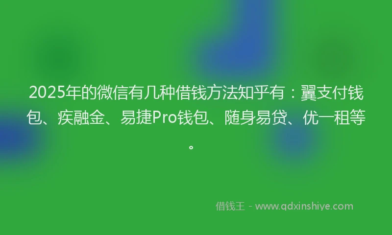 2025年的微信有几种借钱方法知乎有：翼支付钱包、疾融金、易捷Pro钱包、随身易贷、优一租等。