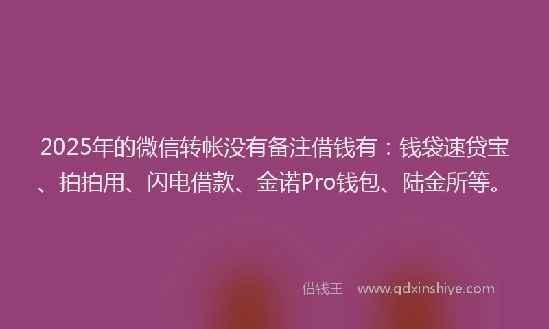 2025年的微信转帐没有备注借钱有：钱袋速贷宝、拍拍用、闪电借款、金诺Pro钱包、陆金所等。