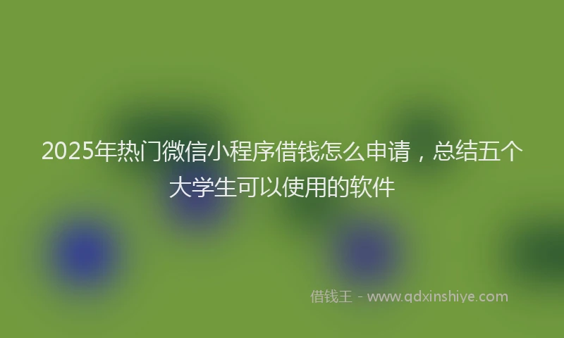 2025年热门微信小程序借钱怎么申请，总结五个大学生可以使用的软件