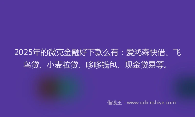 2025年的微克金融好下款么有：爱鸿森快借、飞鸟贷、小麦粒贷、哆哆钱包、现金贷易等。