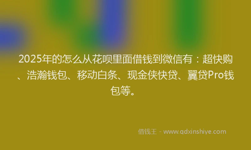 2025年的怎么从花呗里面借钱到微信有：超快购、浩瀚钱包、移动白条、现金侠快贷、翼贷Pro钱包等。