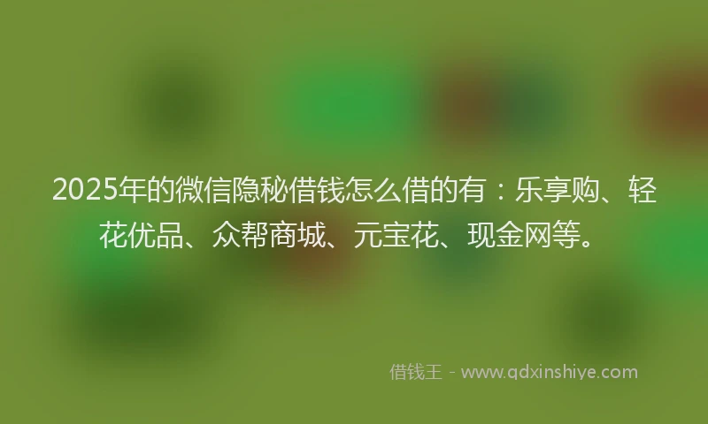 2025年的微信隐秘借钱怎么借的有：乐享购、轻花优品、众帮商城、元宝花、现金网等。