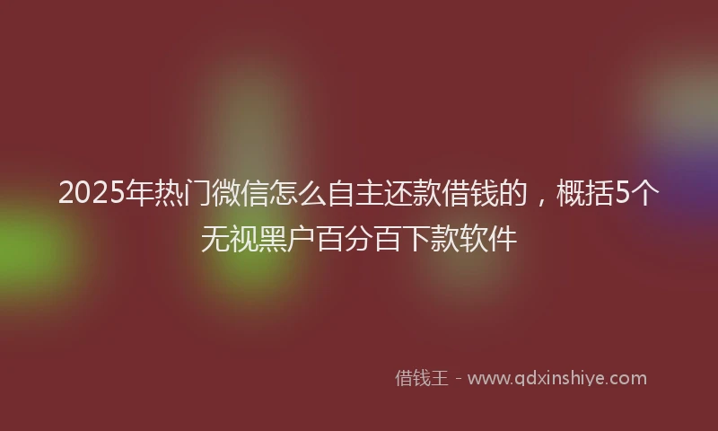 2025年热门微信怎么自主还款借钱的，概括5个无视黑户百分百下款软件