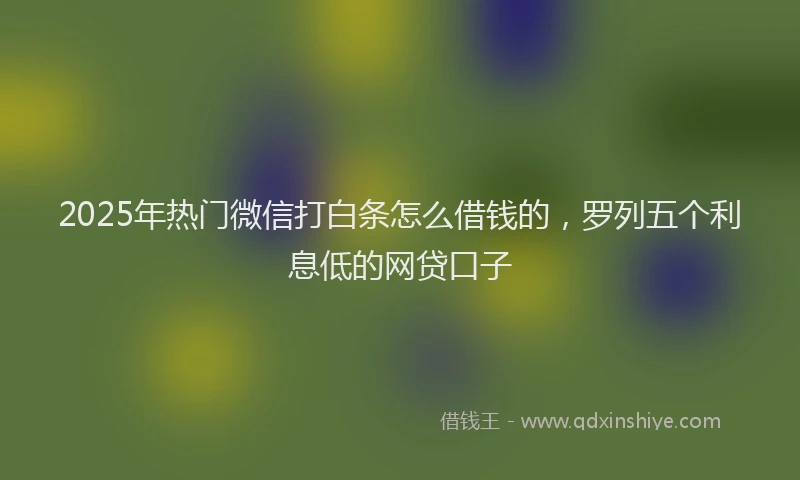 2025年热门微信打白条怎么借钱的，罗列五个利息低的网贷口子