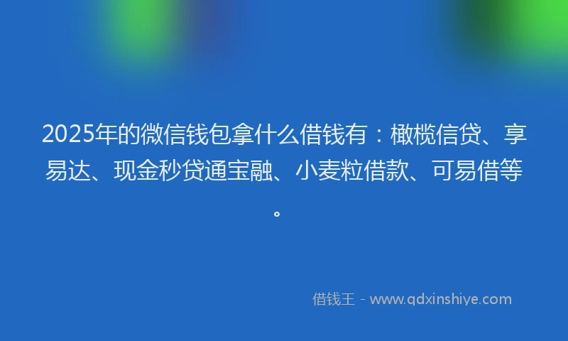 2025年的微信钱包拿什么借钱有：橄榄信贷、享易达、现金秒贷通宝融、小麦粒借款、可易借等。
