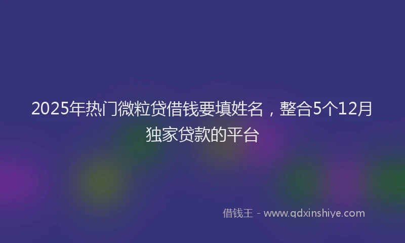 2025年热门微粒贷借钱要填姓名，整合5个12月独家贷款的平台