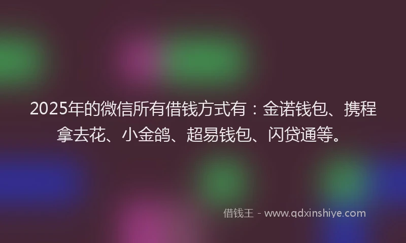 2025年的微信所有借钱方式有：金诺钱包、携程拿去花、小金鸽、超易钱包、闪贷通等。