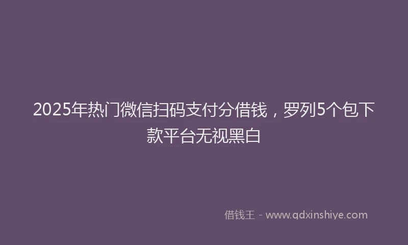 2025年热门微信扫码支付分借钱，罗列5个包下款平台无视黑白