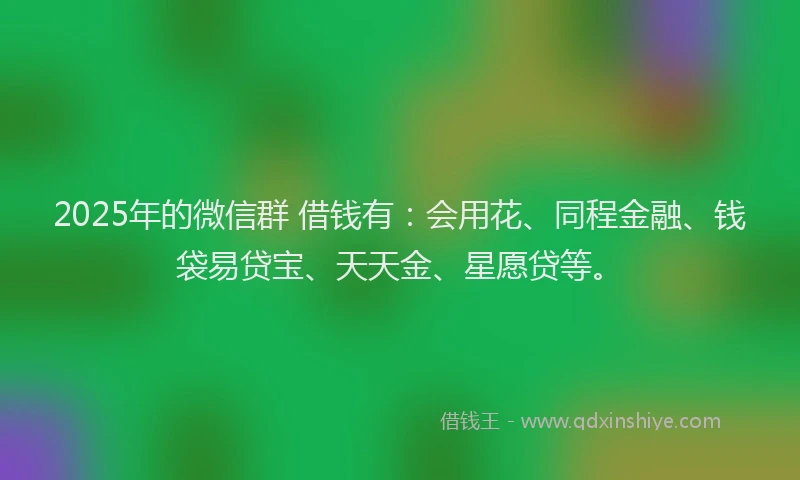 2025年的微信群 借钱有：会用花、同程金融、钱袋易贷宝、天天金、星愿贷等。