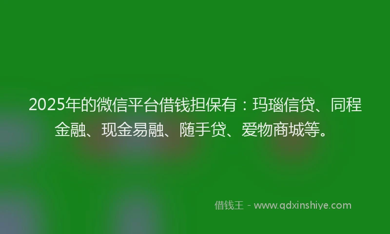 2025年的微信平台借钱担保有：玛瑙信贷、同程金融、现金易融、随手贷、爱物商城等。