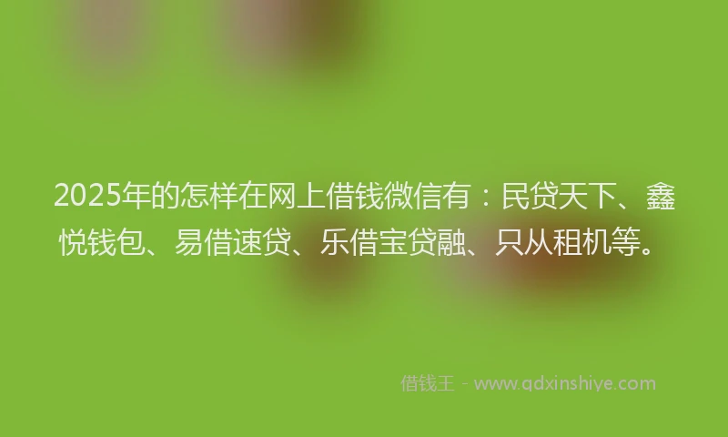 2025年的怎样在网上借钱微信有：民贷天下、鑫悦钱包、易借速贷、乐借宝贷融、只从租机等。