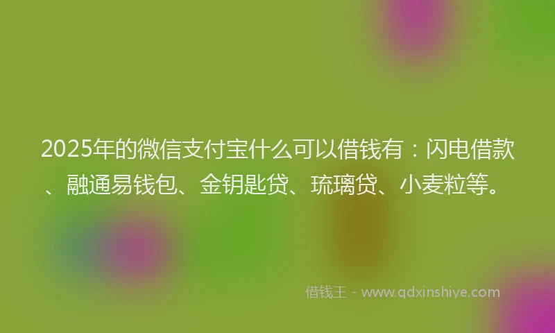 2025年的微信支付宝什么可以借钱有：闪电借款、融通易钱包、金钥匙贷、琉璃贷、小麦粒等。
