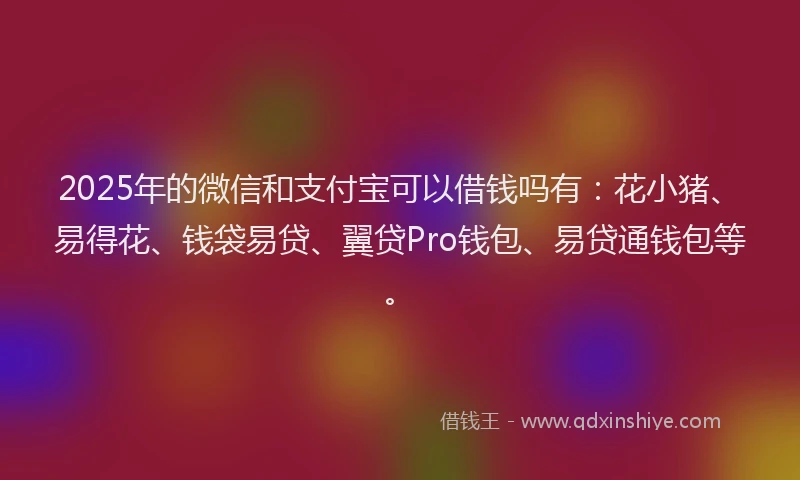 2025年的微信和支付宝可以借钱吗有：花小猪、易得花、钱袋易贷、翼贷Pro钱包、易贷通钱包等。