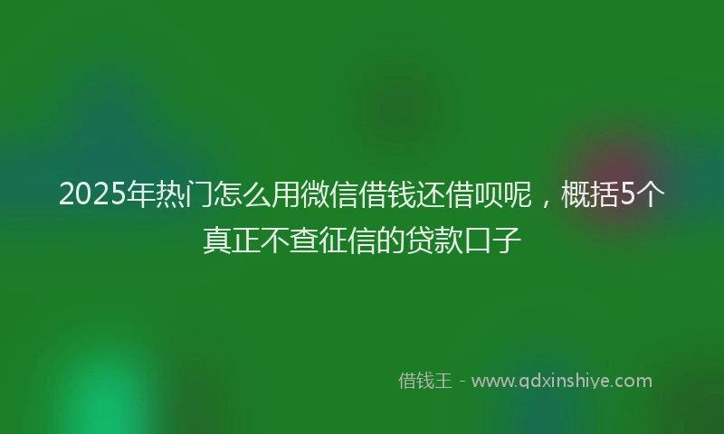 2025年热门怎么用微信借钱还借呗呢，概括5个真正不查征信的贷款口子