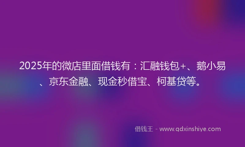 2025年的微店里面借钱有：汇融钱包+、鹅小易、京东金融、现金秒借宝、柯基贷等。