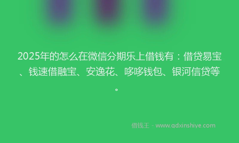 2025年的怎么在微信分期乐上借钱有：借贷易宝、钱速借融宝、安逸花、哆哆钱包、银河信贷等。
