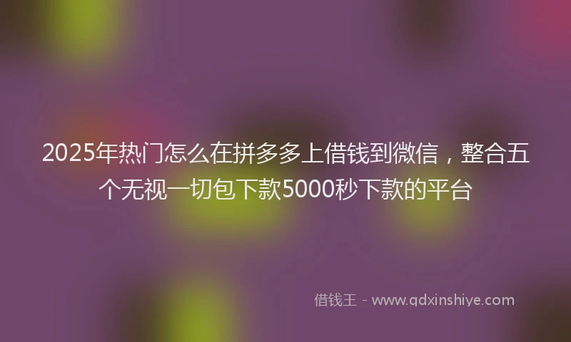 2025年热门怎么在拼多多上借钱到微信，整合五个无视一切包下款5000秒下款的平台