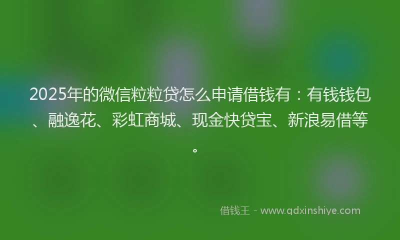 2025年的微信粒粒贷怎么申请借钱有:有钱钱包、融逸花、彩虹商城、现金快贷宝、新浪易借等。