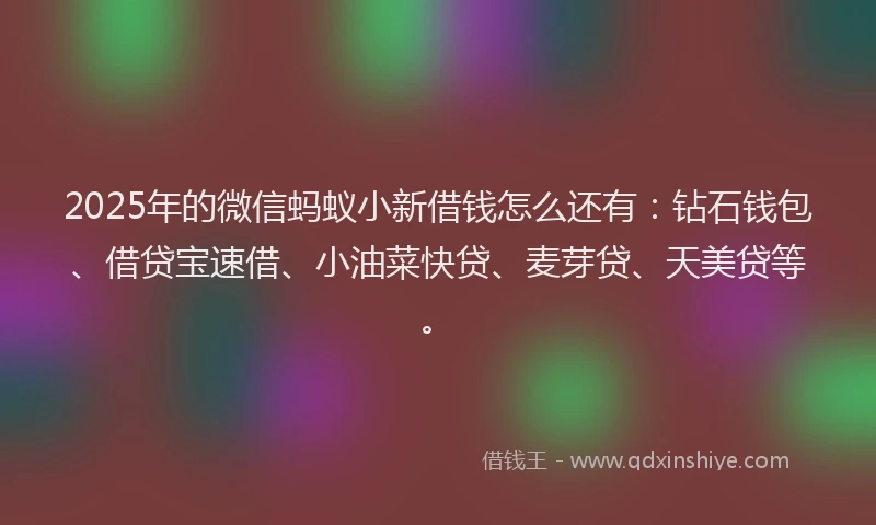 2025年的微信蚂蚁小新借钱怎么还有：钻石钱包、借贷宝速借、小油菜快贷、麦芽贷、天美贷等。