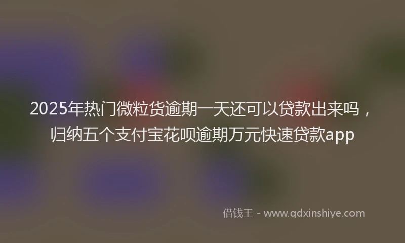 2025年热门微粒货逾期一天还可以贷款出来吗，归纳五个支付宝花呗逾期万元快速贷款app