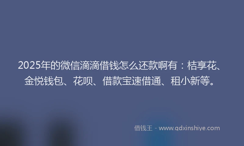 2025年的微信滴滴借钱怎么还款啊有:桔享花、金悦钱包、花呗、借款宝速借通、租小新等。