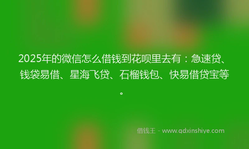 2025年的微信怎么借钱到花呗里去有：急速贷、钱袋易借、星海飞贷、石榴钱包、快易借贷宝等。