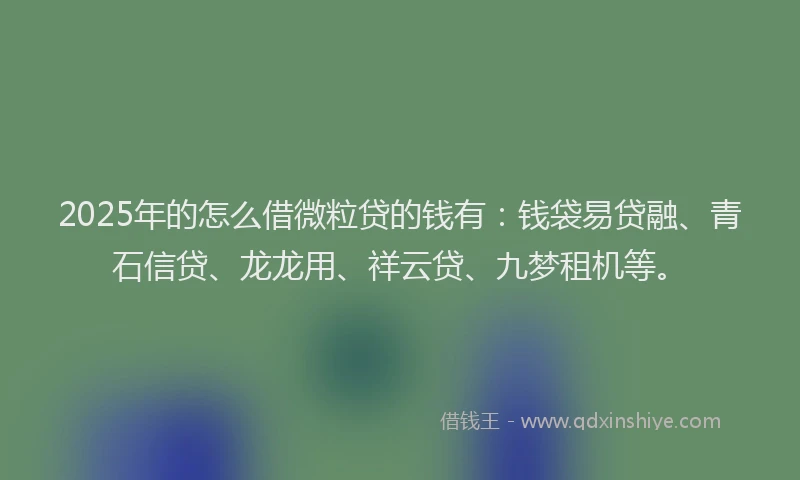 2025年的怎么借微粒贷的钱有：钱袋易贷融、青石信贷、龙龙用、祥云贷、九梦租机等。