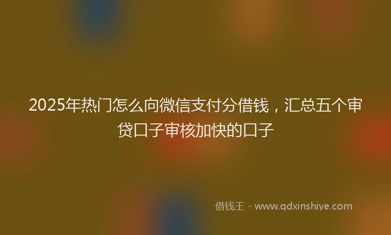 2025年热门怎么向微信支付分借钱，汇总五个审贷口子审核加快的口子