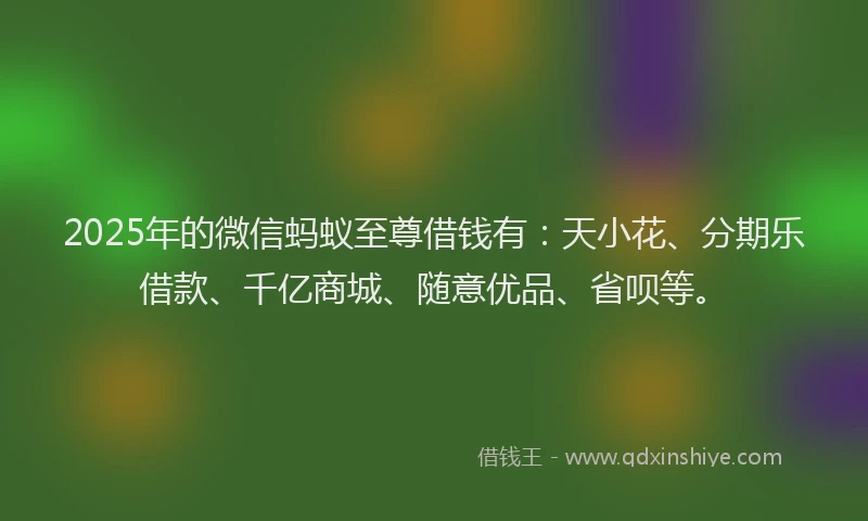 2025年的微信蚂蚁至尊借钱有：天小花、分期乐借款、千亿商城、随意优品、省呗等。