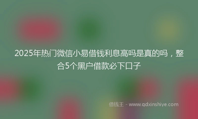 2025年热门微信小易借钱利息高吗是真的吗，整合5个黑户借款必下口子