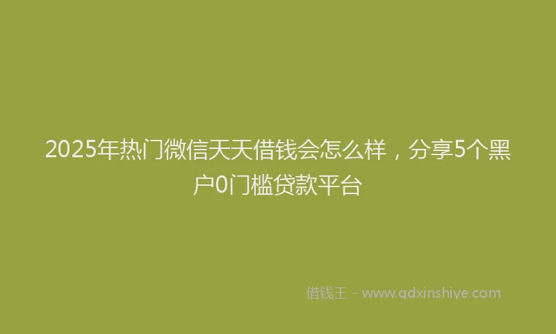 2025年热门微信天天借钱会怎么样，分享5个黑户0门槛贷款平台