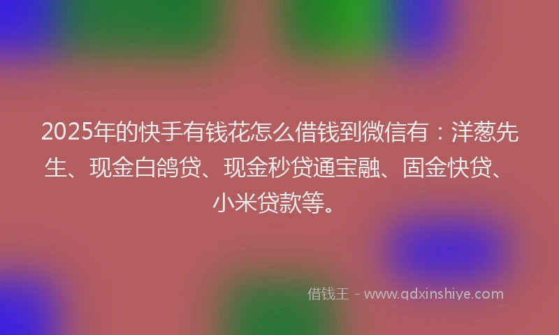2025年的快手有钱花怎么借钱到微信有：洋葱先生、现金白鸽贷、现金秒贷通宝融、固金快贷、小米贷款等。