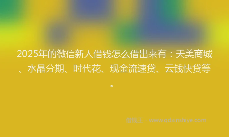2025年的微信新人借钱怎么借出来有：天美商城、水晶分期、时代花、现金流速贷、云钱快贷等。