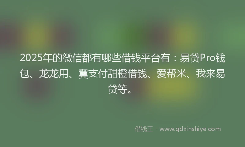 2025年的微信都有哪些借钱平台有：易贷Pro钱包、龙龙用、翼支付甜橙借钱、爱帮米、我来易贷等。