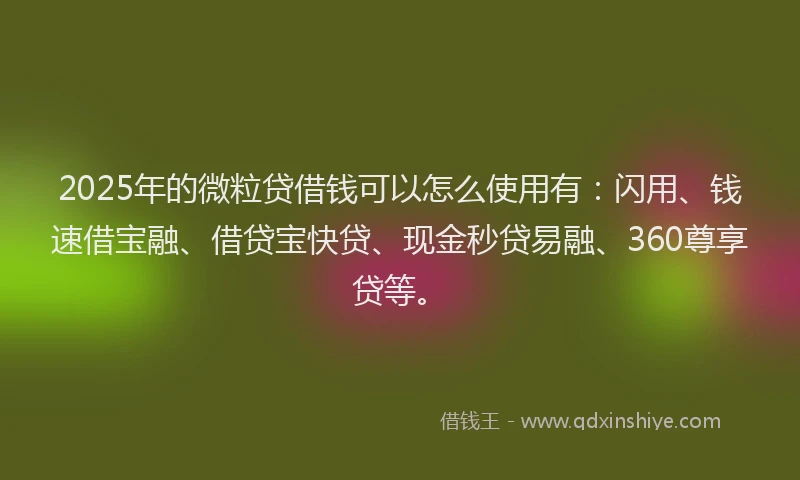 2025年的微粒贷借钱可以怎么使用有：闪用、钱速借宝融、借贷宝快贷、现金秒贷易融、360尊享贷等。
