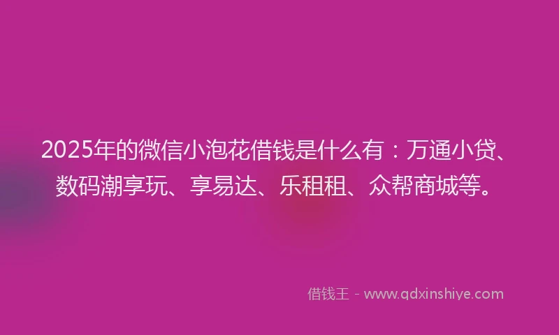 2025年的微信小泡花借钱是什么有：万通小贷、数码潮享玩、享易达、乐租租、众帮商城等。