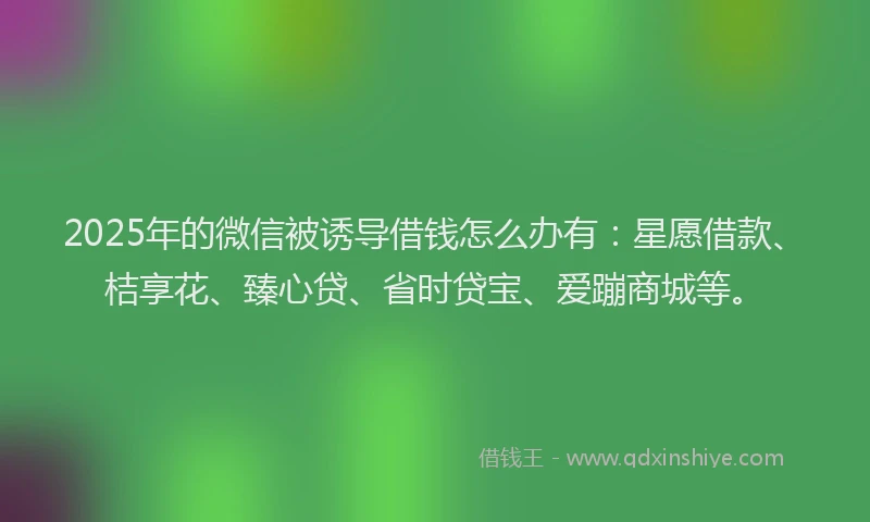 2025年的微信被诱导借钱怎么办有：星愿借款、桔享花、臻心贷、省时贷宝、爱蹦商城等。